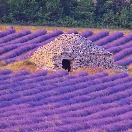Entre Ventoux Et Luberon Chambre D'Hote Со-де-Воклюз Екстер'єр фото