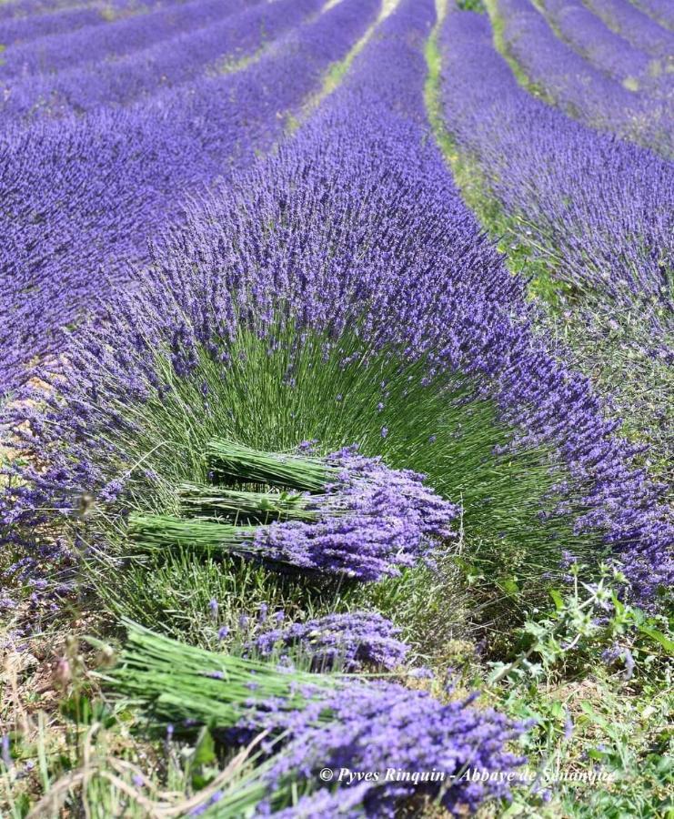 Entre Ventoux Et Luberon Chambre D'Hote Со-де-Воклюз Екстер'єр фото