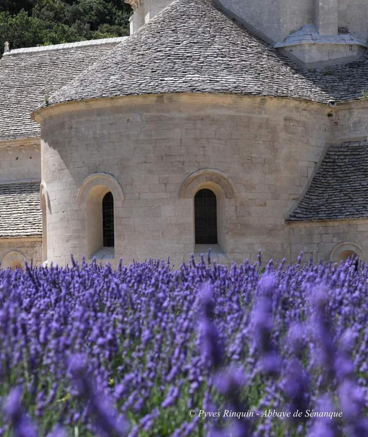 Entre Ventoux Et Luberon Chambre D'Hote Со-де-Воклюз Екстер'єр фото