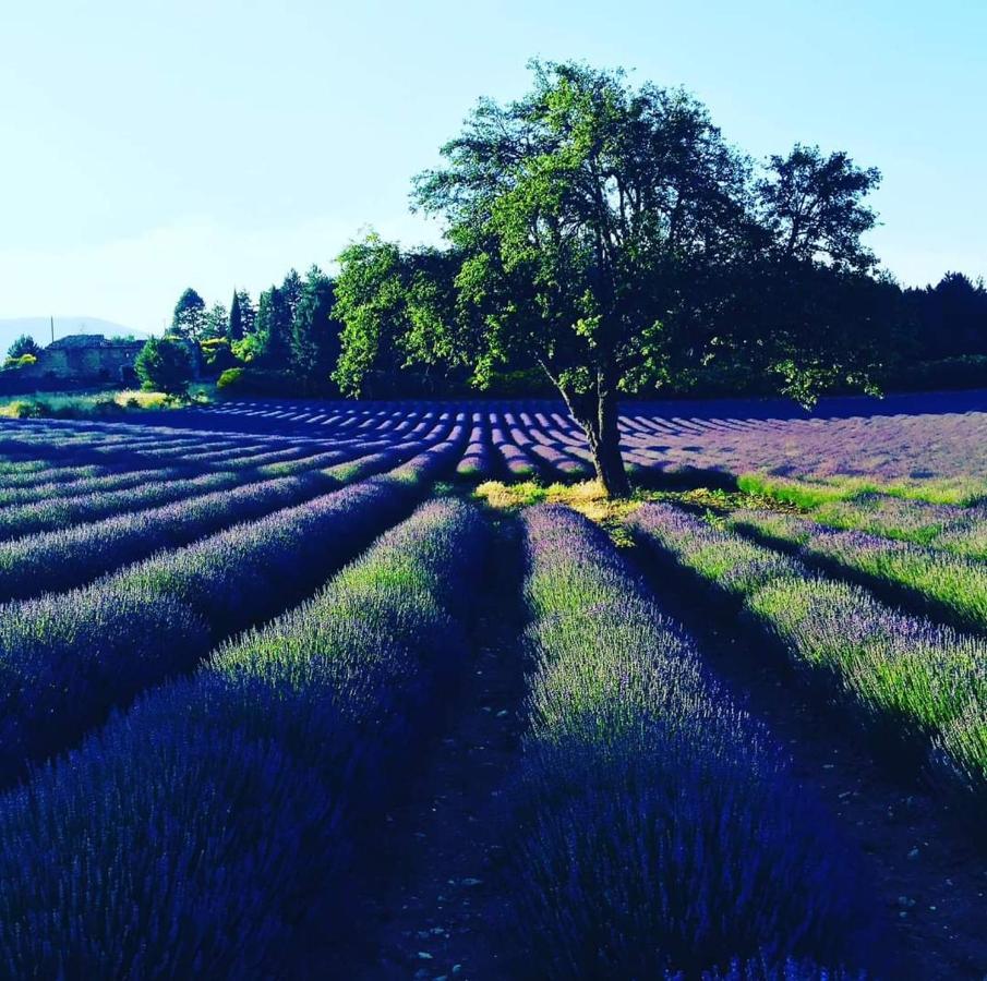 Entre Ventoux Et Luberon Chambre D'Hote Со-де-Воклюз Екстер'єр фото