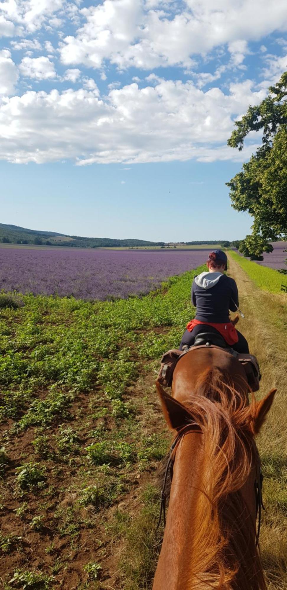 Entre Ventoux Et Luberon Chambre D'Hote Со-де-Воклюз Екстер'єр фото
